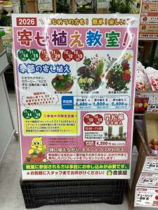 🌸２０２６年　寄せ植え教室のご案内🌸