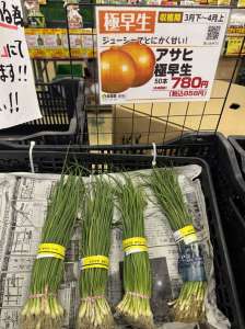 玉ねぎ苗入荷しました！