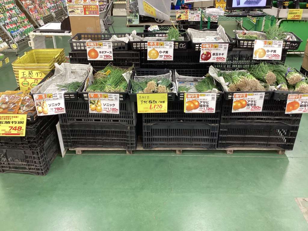 玉ねぎ苗入荷！