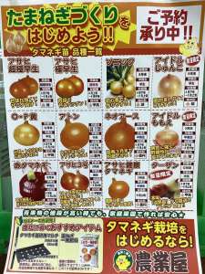 玉ねぎ苗はもうすぐです入荷！一発肥料がご用意できました！